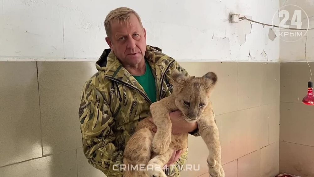 � ����� � ����� ����� "������" ���������� ����������� �� ���������� ��������������� ������ � ���������� �����, ������� ��������������� "���� 24" �������� ����� ���� ������