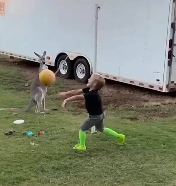 ���� �� ������� ������� ���������, �������� � ������� � ��� ������� � ��� � ������� �����