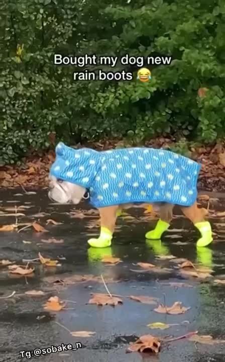 ���������� �������. ��������� �����, ����� �������� � �������, � ���� ����� ���� ���� ��������� � ��������� � ����� �������� ������� ����� ������ ����� - ����, ��� ������� � �������