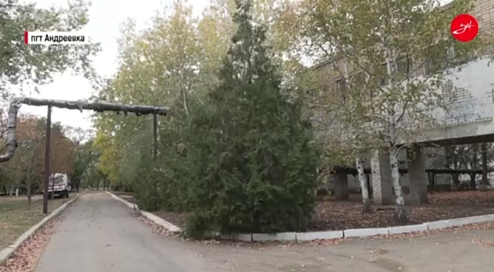 � ����������� ����������� �������� �������� �������� ������ � ������� ������