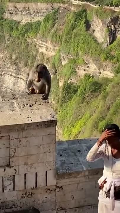 �������� �������). �� ���� ������� ����������� �������� ������, ��� ���������� � �������� ���� ����� ���������� �� ���