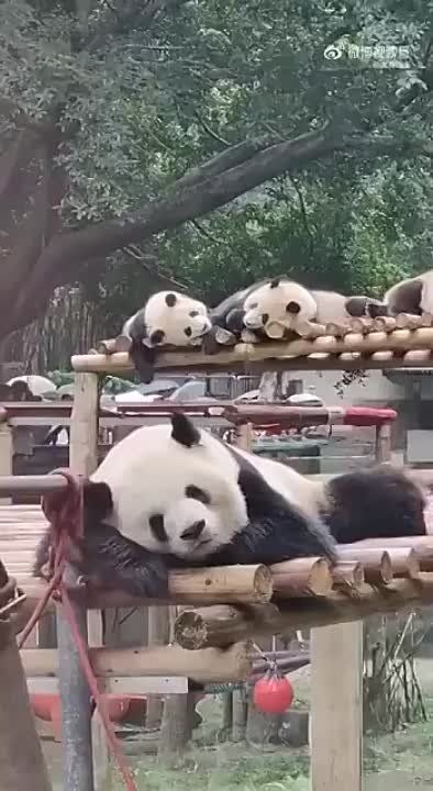 ��������� ������� ��������� ����