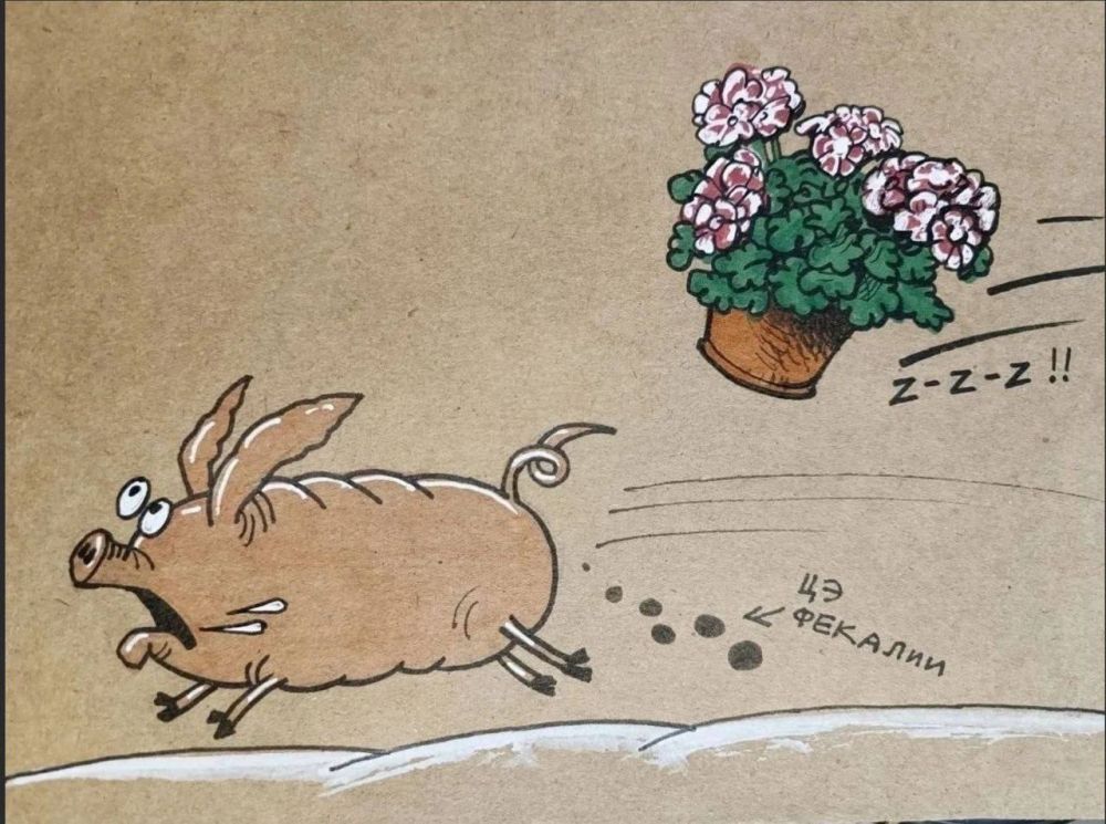 ����� ��������: ��������� ������ ������� ���������� � ���������