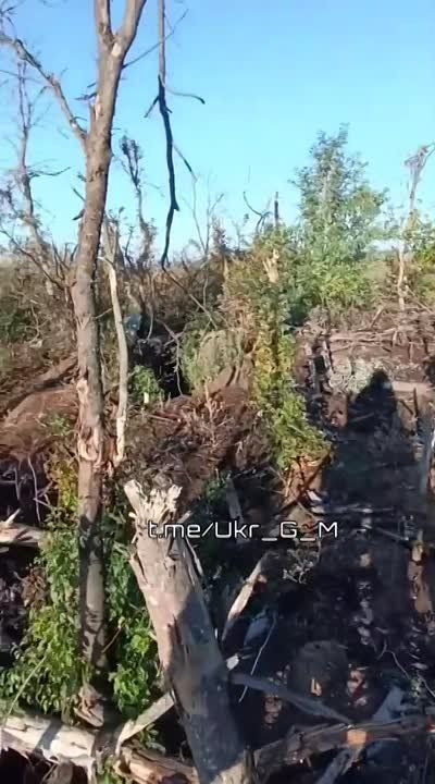 ����������� ������������ ����� ��� �� �� �������� �������� ��� � ������ ��������