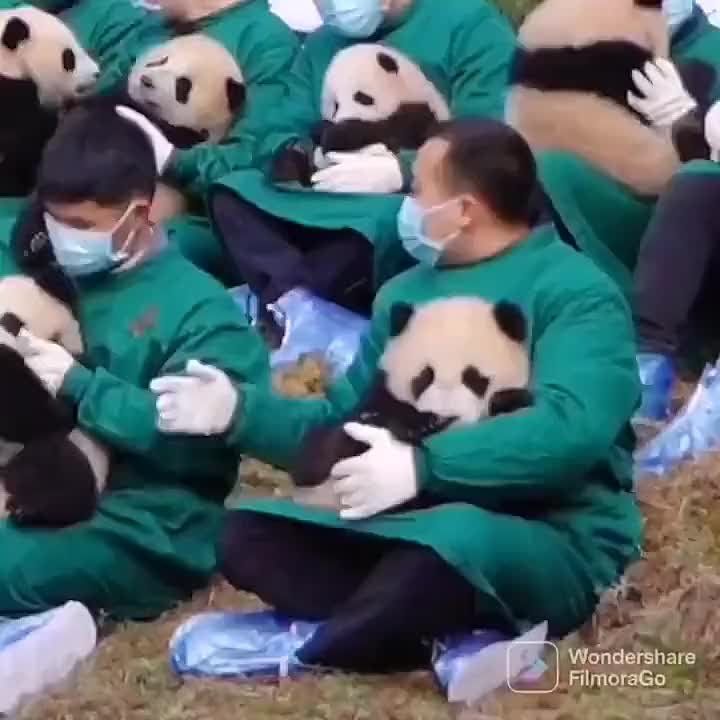 ��������, ������� �������� �����!