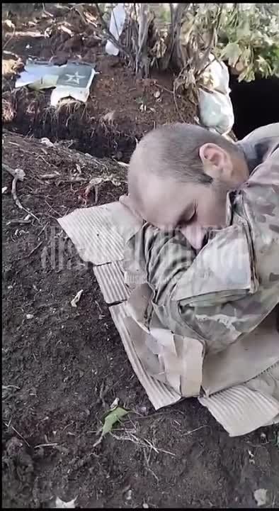 ����� �����: ��������� ������� �� ����������� �����������, ������������ ��� ������� �� �����, ��� �������� �����������