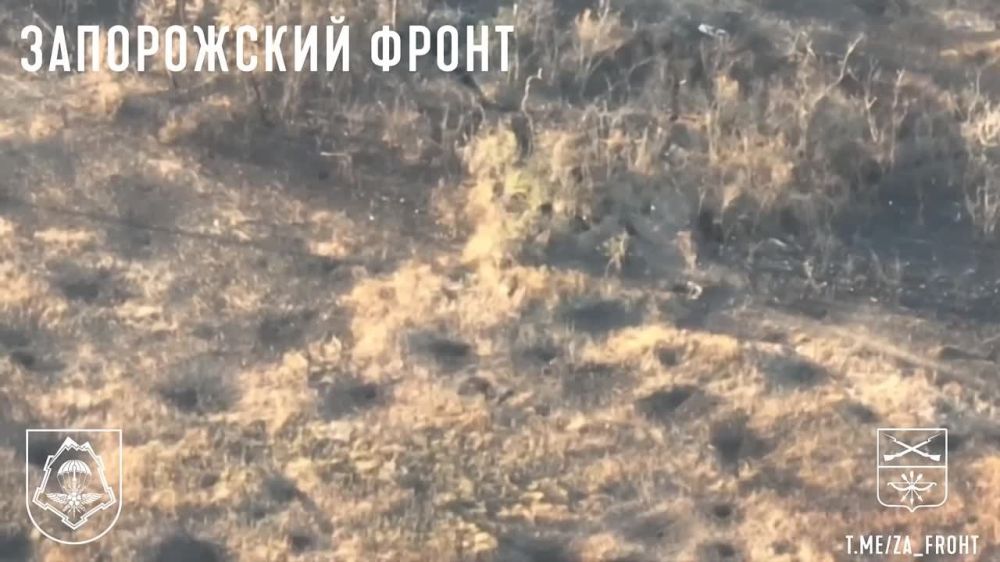 Евгений Лисицын: Бойцы из армейского спецназа «Осман» продолжают кошмарить укронацистов на Запорожском фронте ударными дронами