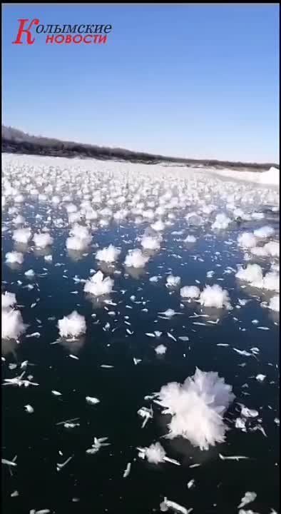 ���� �������: �� ���� ������� � �������� ���� �������� �������������� ������� �����