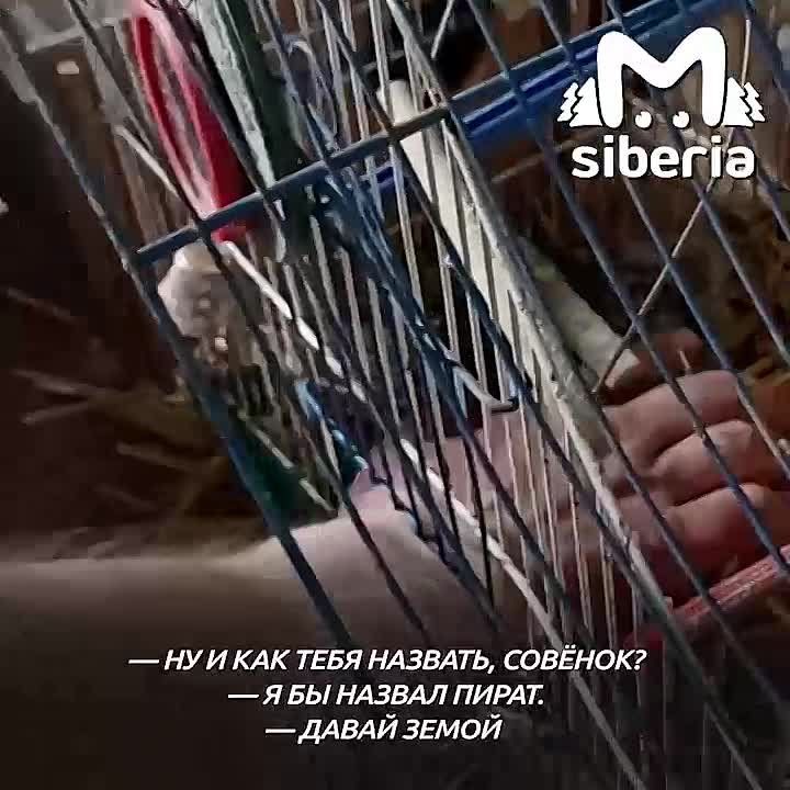 #��������_��_��_��. ����� ��������������� ��������� ����������� ����� � ����� � ���� ���. ��������, ����� � ����� �� �������. ������, ���� ����� ���