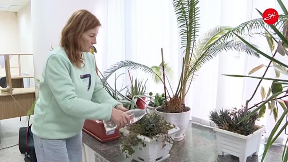 � ���������� ���������� � ��������� �����������