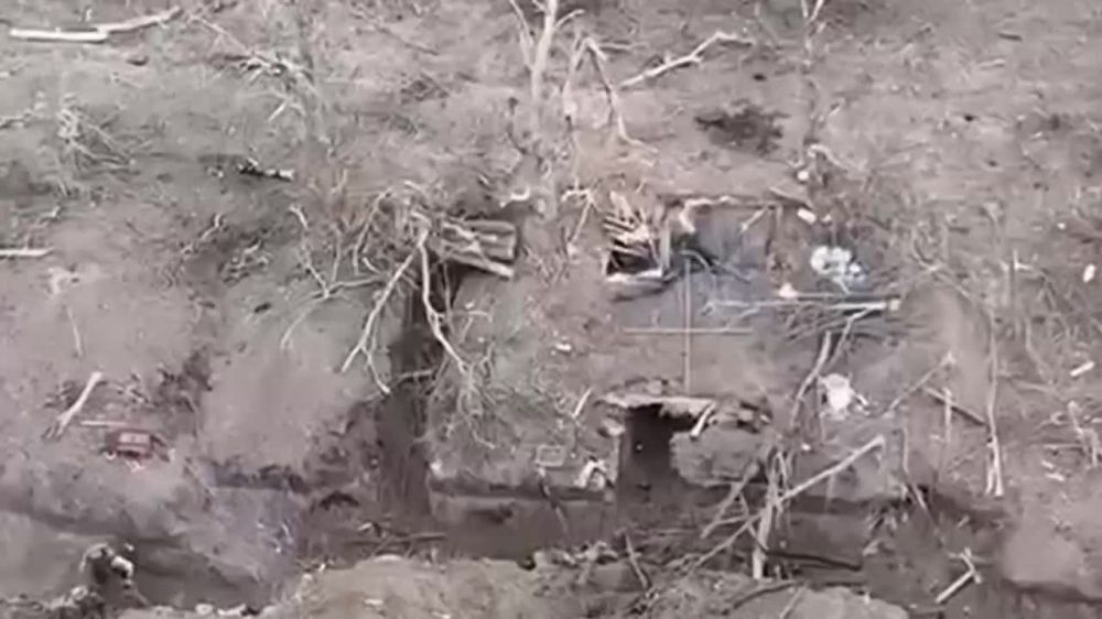 ����� ������� ������������ ������ ������� ���������� �� ����������� �����������