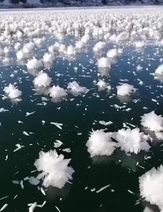 ������� ������� �� ����. ������ ������� �� ����� ������� ���������� ��������� �� ���� ������� � ���� �������� � ������