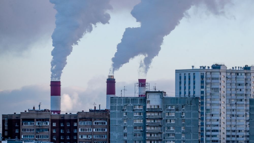 ����� � ���� ������������� ����� ������ 20 �������