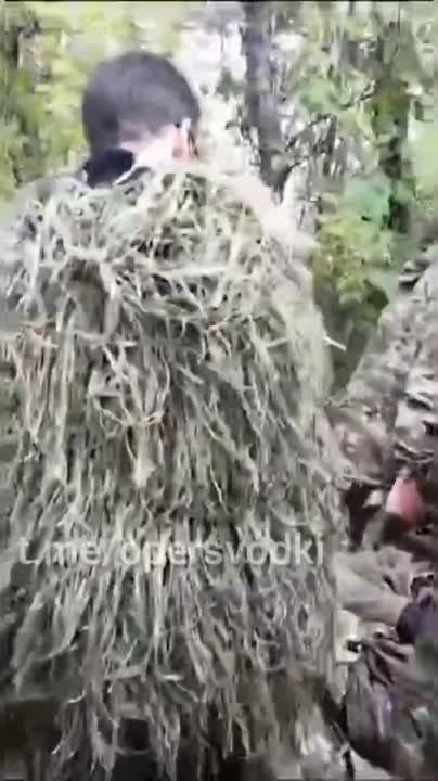 ����� ���������.. �� ���� ���������� ������, ������ � ������ ��������� ����������� ������� ���������� 77 ���, ������������ � ��������� ������, ��������� ������ �������� ��������