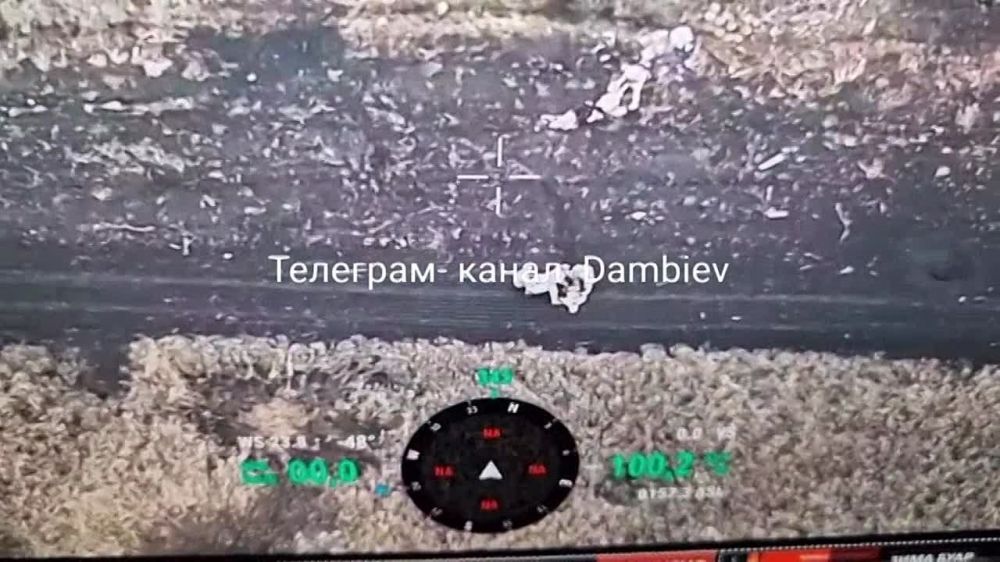 ������ �������: ������ ����������� ����������������