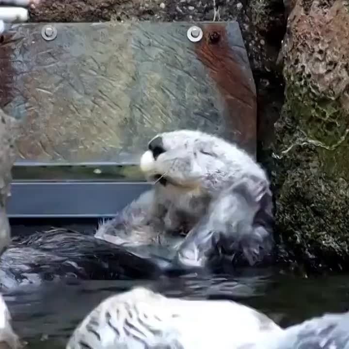������ ����, ������!. ��������� � ����� �� ������! ������� ������� ��������� ����� ����� ������������� ���������! �������������� ��