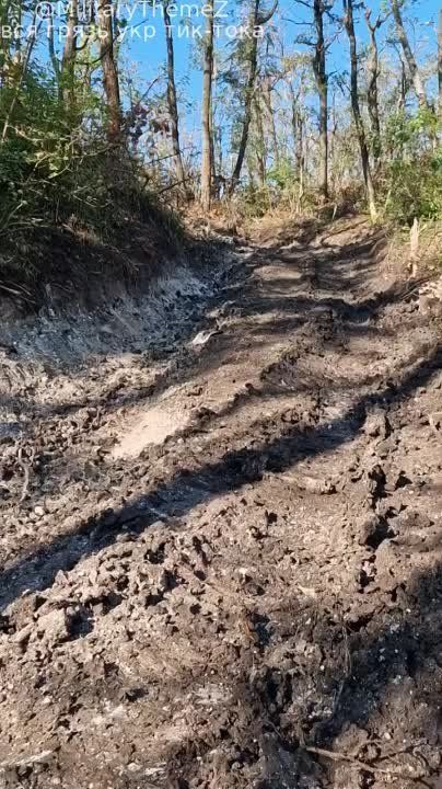 �� �������� ������ � ������ �������� ��������������� HMMWV � ���������������� M113