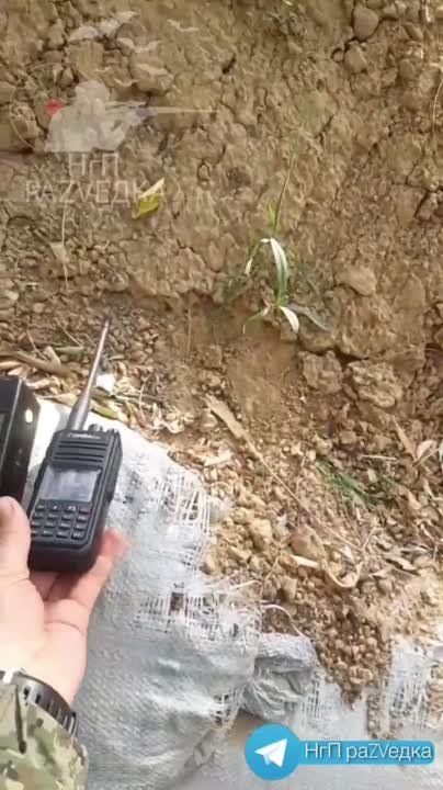 �� ������ �������� ����������, ����� ������� ����, � ������ � ������ ������ ���� �����, � ������ � �������� �������� ����