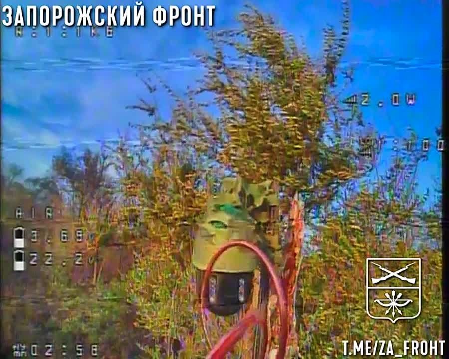 ����� �����: ����������� ��������� ������, ������� ��������� �� ���������� ����� ������������� �� ����������� �����������