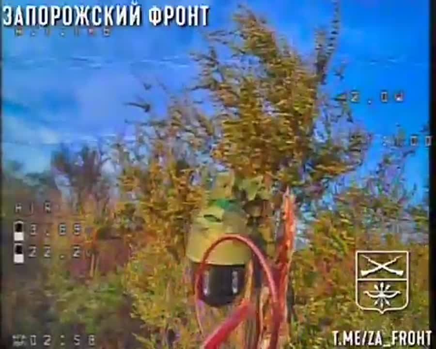 ������ FPV ��� ����������� ������� �������� �� ����������� �����������