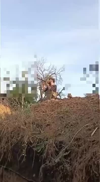 ������� ��������: ������ ������ ���� 3 �������, ��������� � ��������������� ������� ������� �������� �����