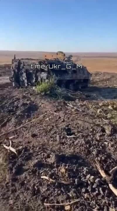 �������� ������������ ���������� ������� �� ����������� �����������