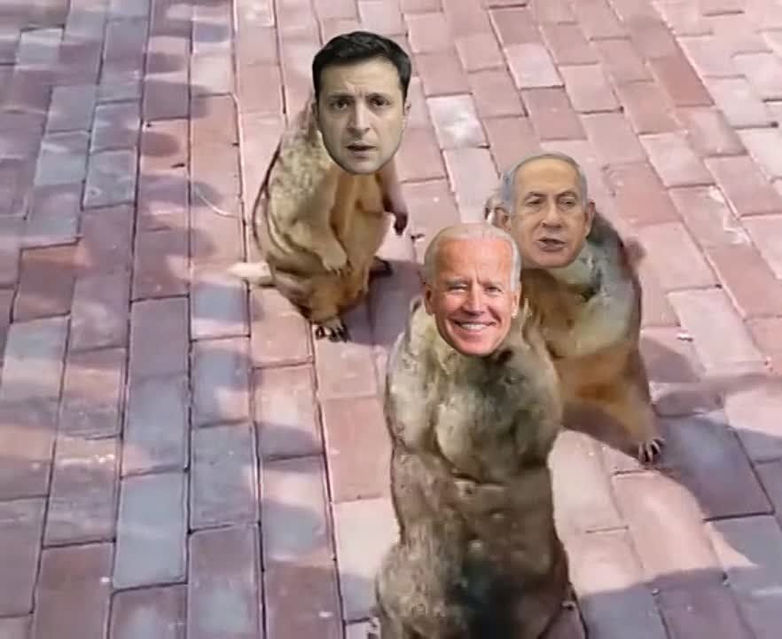 �������� ����� �������� � ����� ����� ����� ��� ��� ������� ��������� ��� ������ � ������ ����������