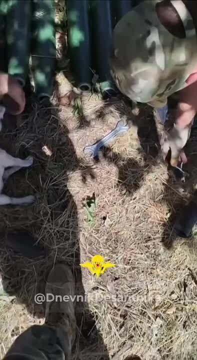 ��� ���� �� 7��� �� ��������� ������� ���� � ������