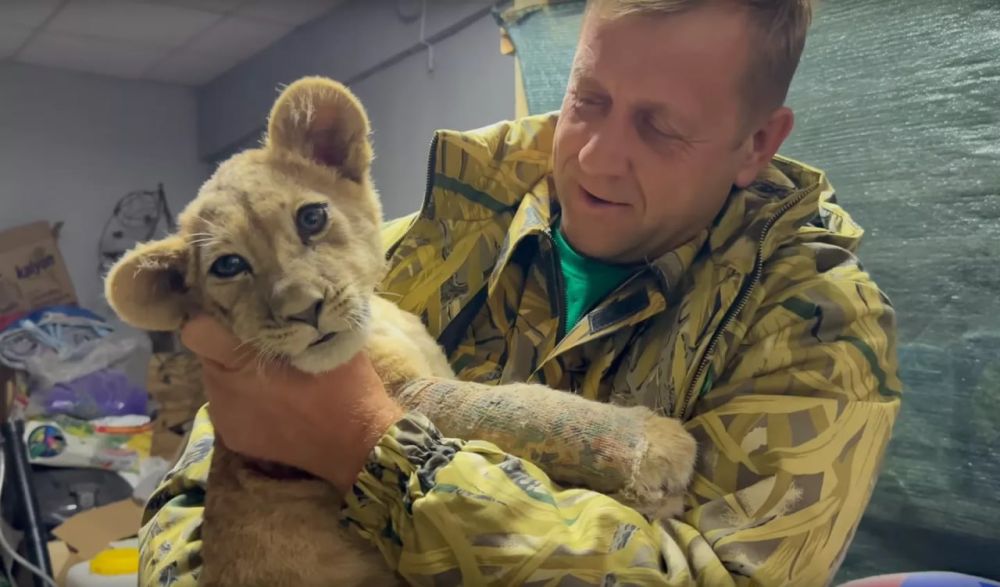 ��� ��������� ���� �������������� �������, ���������� �� ����������?