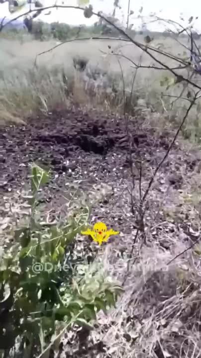 �� �������� ����������� �� 7��� �� ������� ��������-�������� �������� ������ 120��