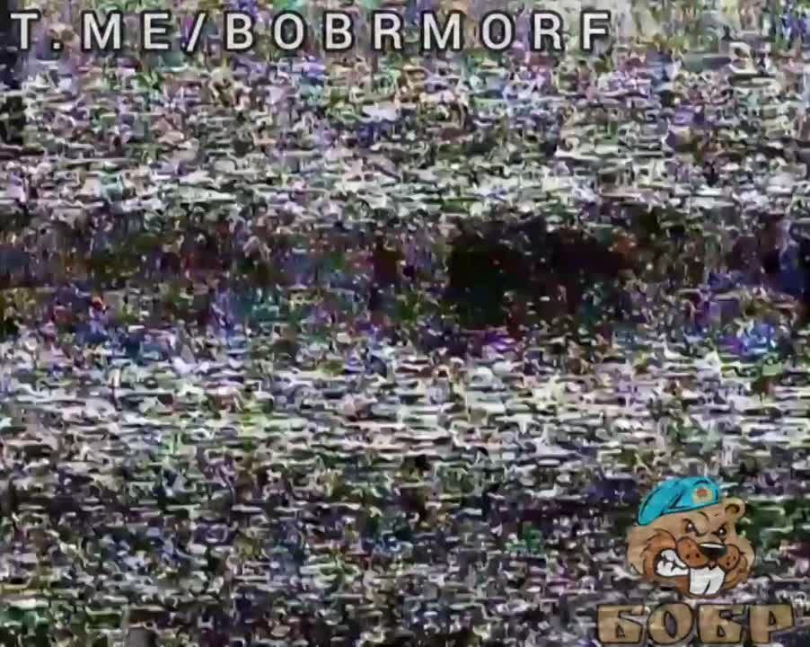 ����� �����: �������� ������ � ������������ ��� ����������� FPV-������ ������������� ������� �� ����������� �����������