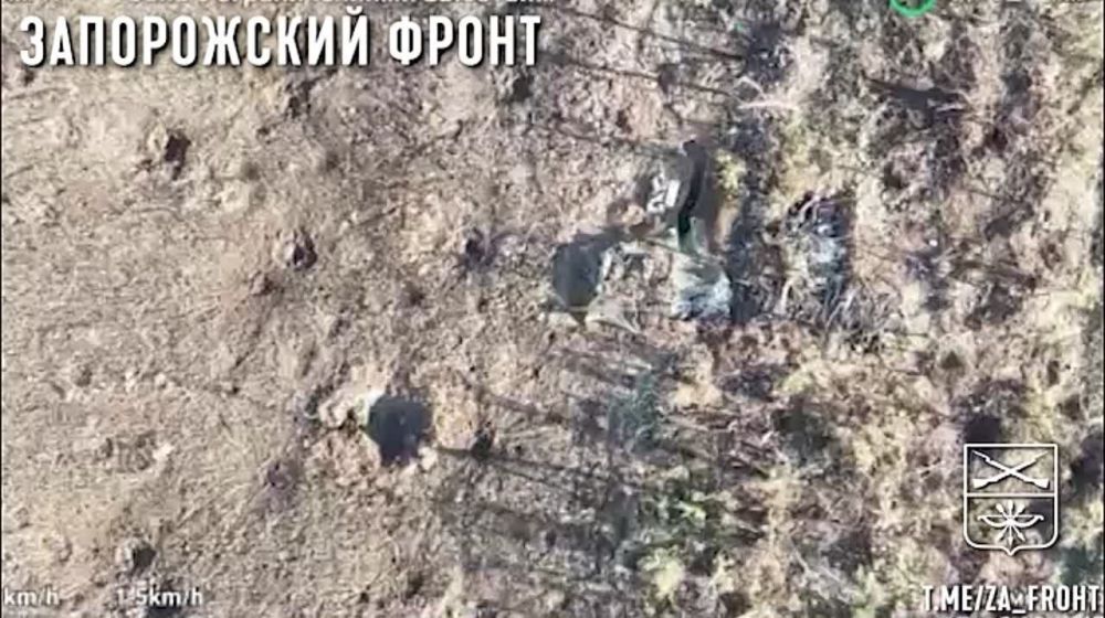 ����� 35 ����� � ������ ���� ������ ���������� �� ����������� �����������