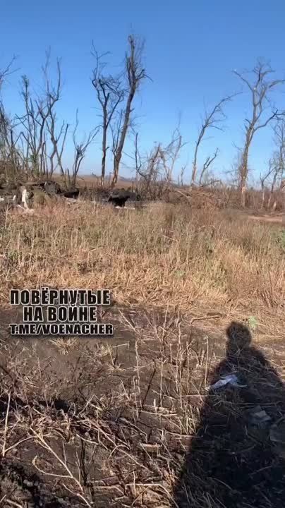����� ������������ ��� �113 � ���������� ���� ������, ����� ������, ������� ������ ���� ���������� �-64�� � ���� �������� ��������������� Oshkosh M-ATV � ����������� ������� (�������� �������������� ����� ��������)