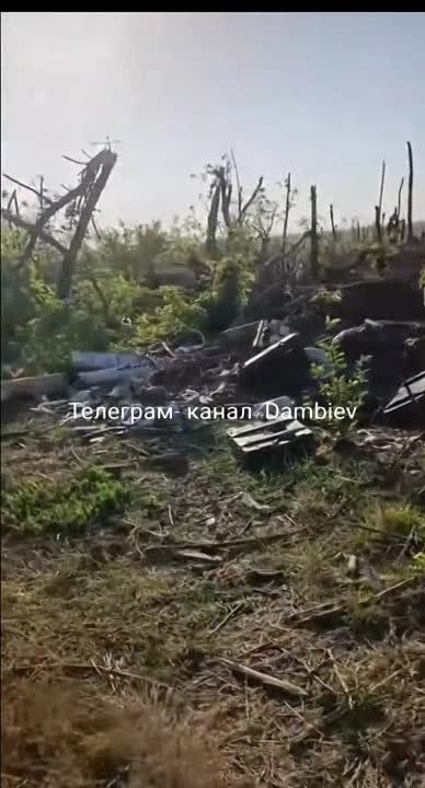 ������ �������: ��� ���� ������������ �� ����������� ����������� ���������� ���������������� YPR-765 , ���������� ������������ � �������� ������� ������