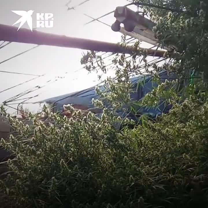 ����������� ������� ������ ����������� ������� �� �������� �������