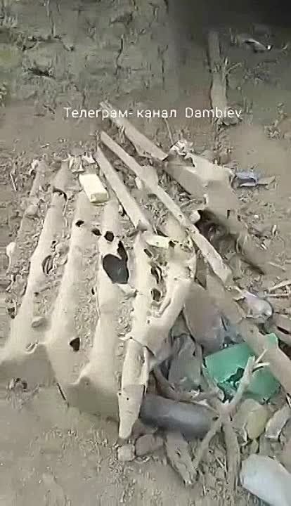 ������ �������: ��� ���� ������������ �� ����������� ����������� ���������� ���������������� M113 ������������� ������������