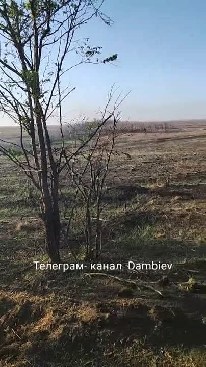 ������ �������: ��� ���� �������� ������������ ������������ ���������� ������������ �� ����������� �����������