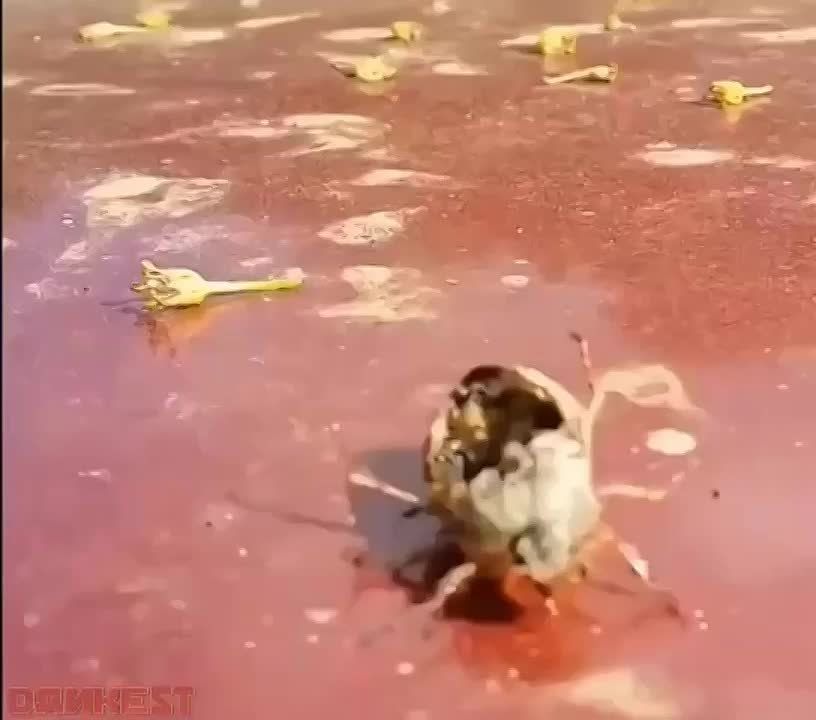 ����� The Last of Us ���������� ����������� � ����������: ������ ������������ � ����� ������, ��� �����-�������� ��������� ������ ���������