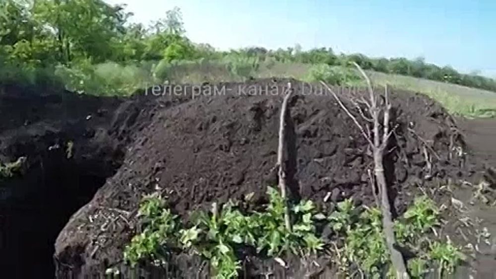 ������ �������: ������� ���������� ������� ���������������� �� ����������� ����������� �� ����� ������� ���������� ������������