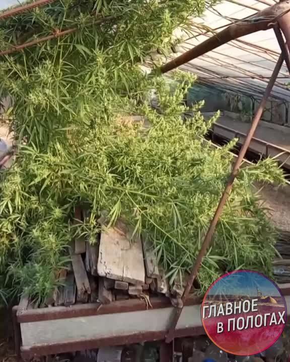 ������ �������� ��������� ������� � �������