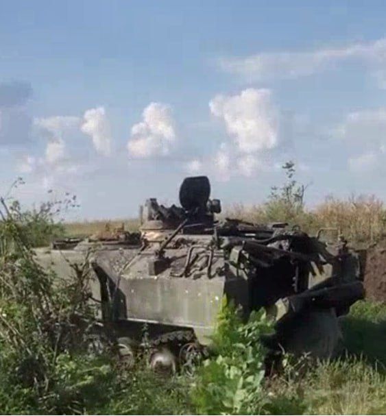 Юрий Котенок: Нидерландские бронетранспортеры YPR-765, уничтоженные на Запорожском направлении