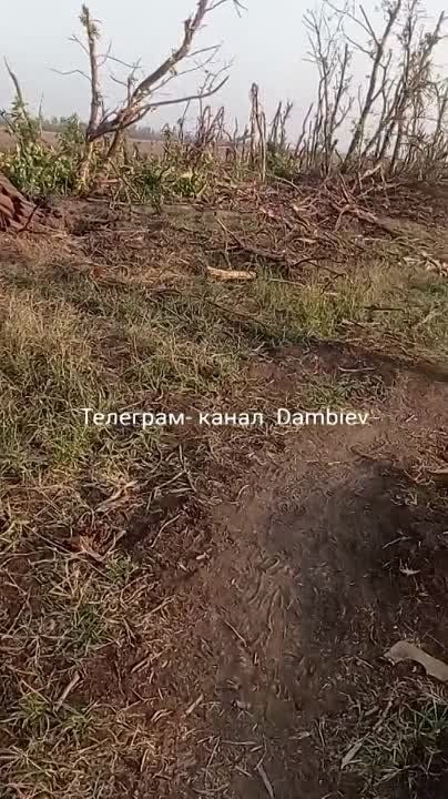 ������ �������: ������������ �� ����������� ����������� ���������� ���� �-72