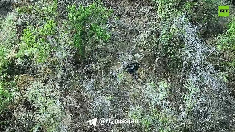 ׸��� ����� �� ������� �-30 ���� �� ��������� ����� ���� � ������� ���������� (�� 01:11)
