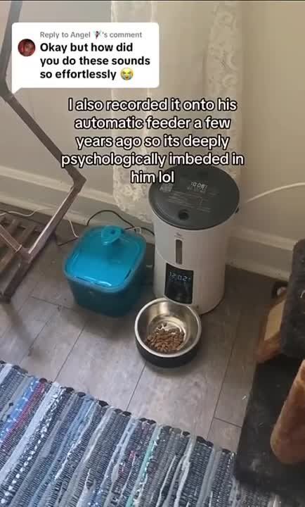 ������ ���: � ��� ������� �������� �������� ����� ��� �������������� �������� ������ ���� �� ������ ������, ������� ������ ������ ��� ��� ������ ���