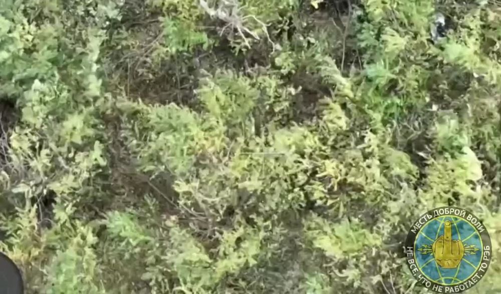 ����� ����������� ������ ���������� �������������� ���������� ���������� ���������