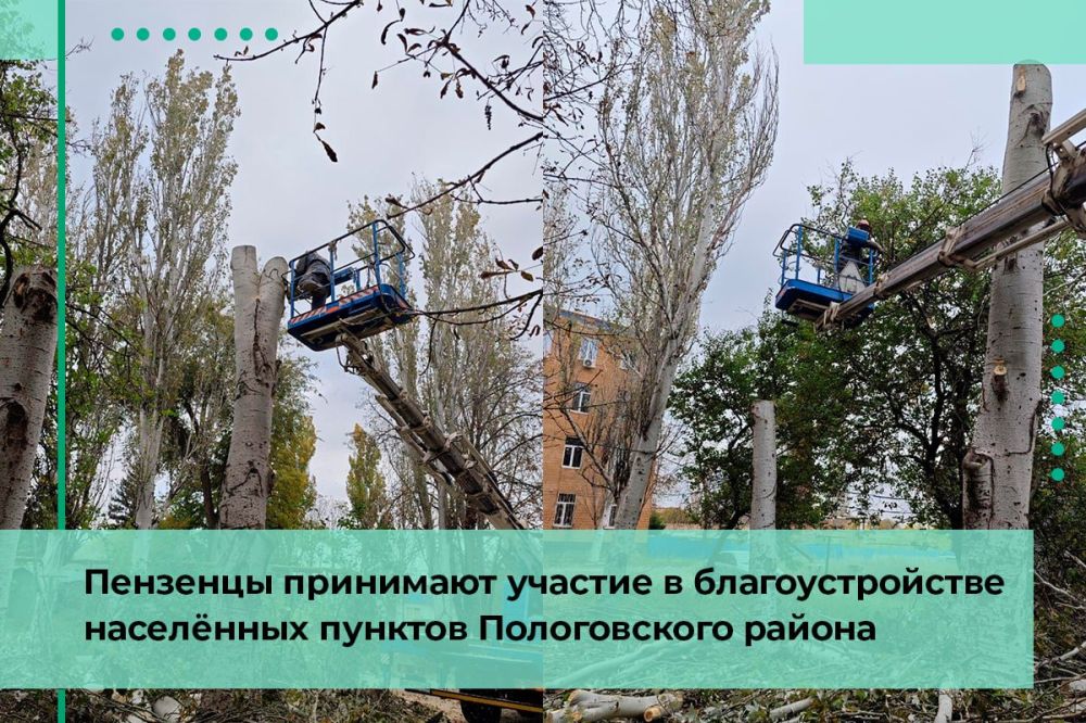 ����������� ��������-����������������� ������� ���������� ������� ���������� �������� ��������� ����������
