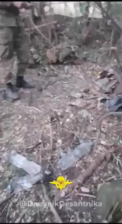 �������� ����� � ������������ �����������