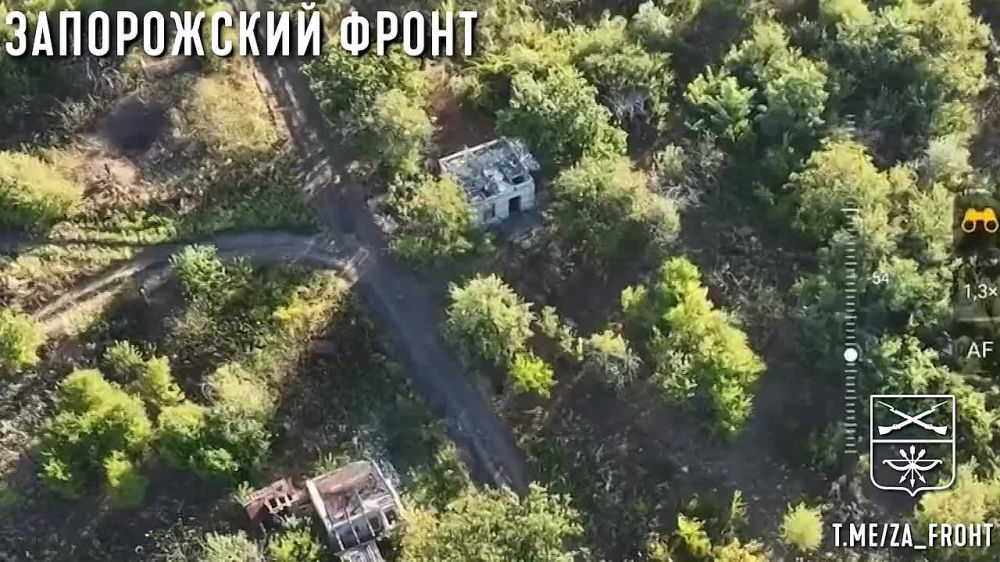 ��������� ����������� ������ �� ��� FPV-������