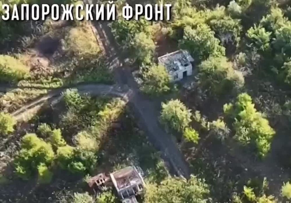 ��� FPV-���� �������� ��������� ����� ������������� ���. �������������� �� ����������� ������� � Telegram � ��������� � �������� � ��������
