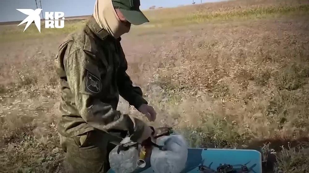 � ��������� ����������� ��������, ��� ���� ������� �� ���������� ��������������